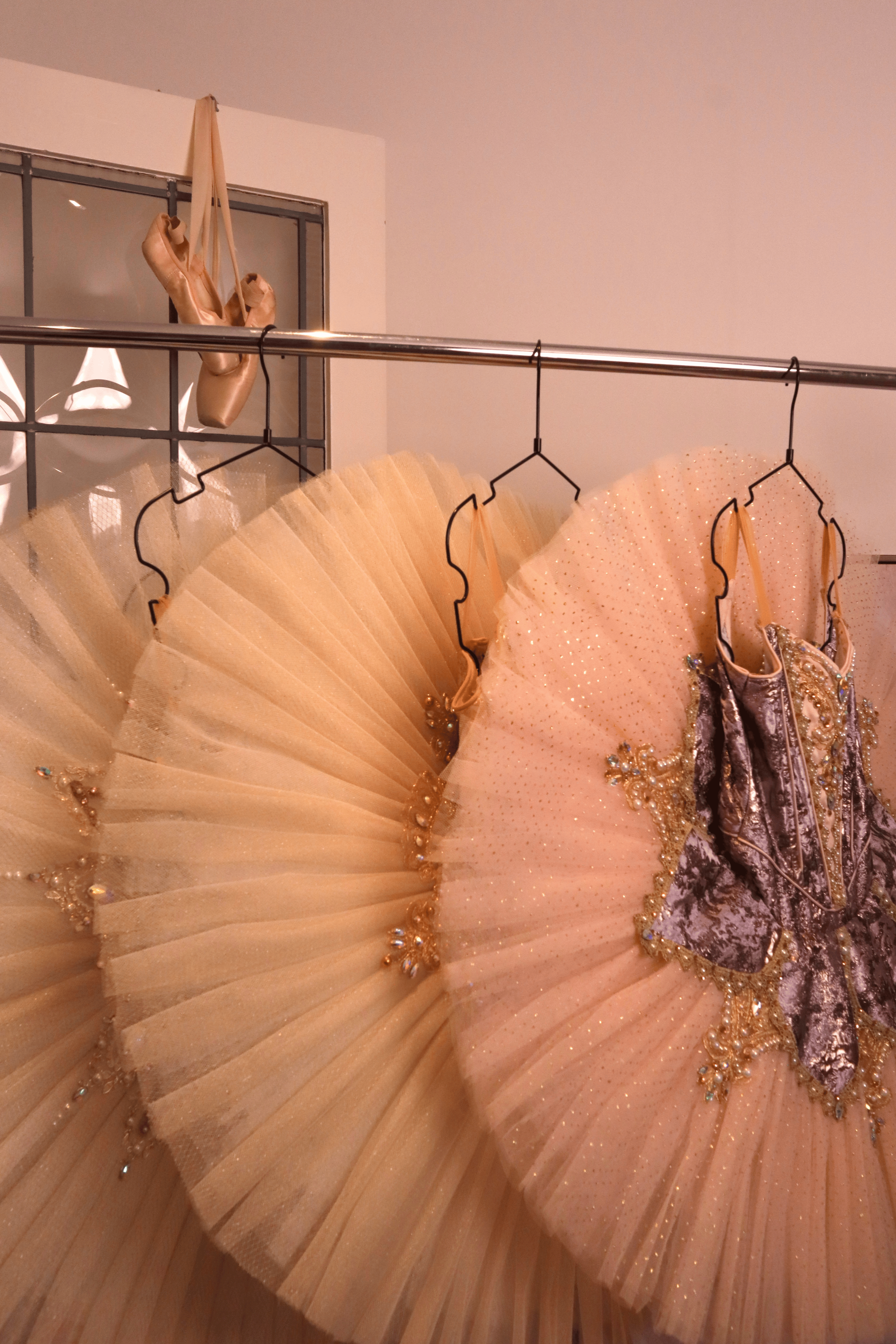 Tutu Hanger