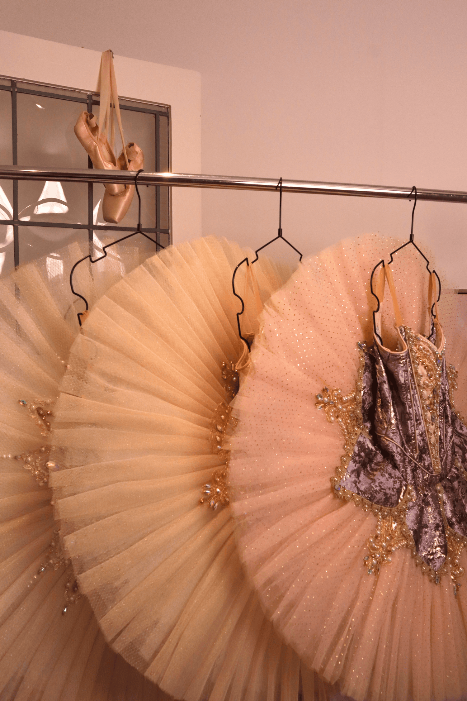 Tutu Hanger
